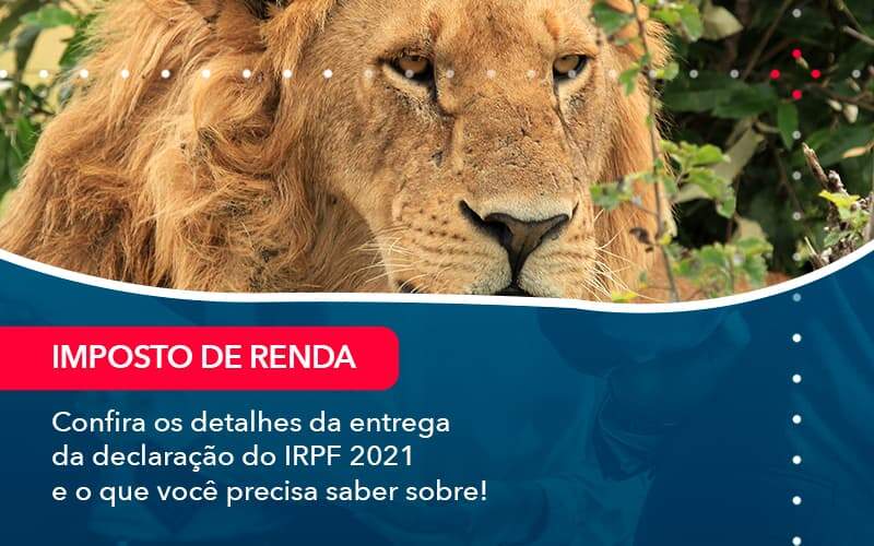 Confira Os Detalhes Da Entrega Da Declaracao Do Irpf 2021 E O Que Voce Precisa Saber Sobre 1 - Evolução Gestão Empresarial